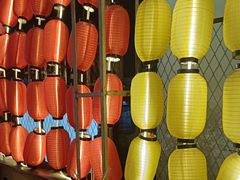 -山城柴火鸡·全鸡宴·跳水蛙(五小区店)