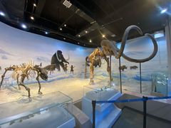 -辽宁古生物博物馆