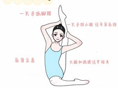 -小荧星艺校(浦东中环分校)