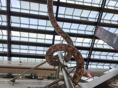 -巴黎春天(浦建店)