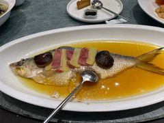 -望乡楼上海菜(日月光店)