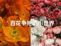 -宜家家居(高新商场店)