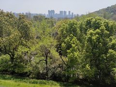 -西湖风景区-江洋畈生态公园