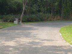 -梁鸿国家湿地公园