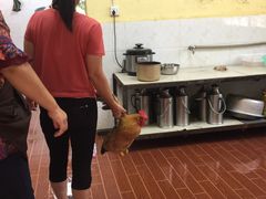 -生态苑农庄(十里画廊遇龙河店)
