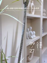-宝馨月月子中心(友谊医院店)