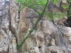 -北京上方山国家森林公园