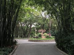 -晓港公园