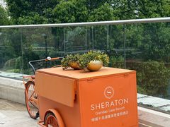 -绿城千岛湖喜来登度假酒店