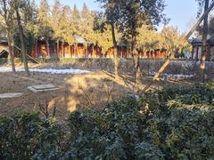 -洛阳白马寺