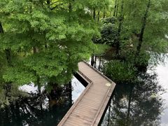 -云溪植物园