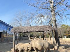 -西安秦岭野生动物园