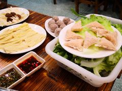 -鸭嘴鱼