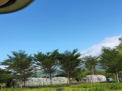 -亚龙湾国际玫瑰谷