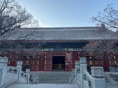 -香山公园