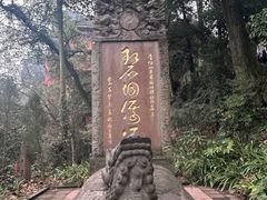 -青城山
