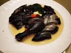 -沙龙酒家