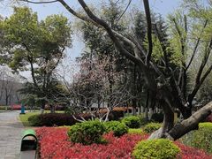 -武汉园博园(武汉自然博物馆)
