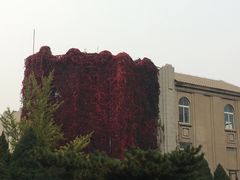 -辽宁大学(崇山校区)