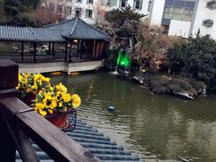 -苏苑饭店-中餐厅(长桥地区店)