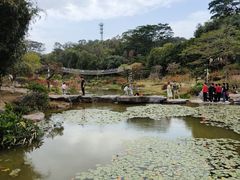 -东莞植物园