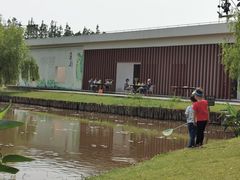 -上海长兴岛郊野公园