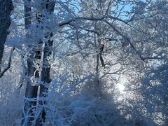-长白山万达国际滑雪场
