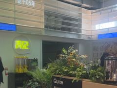 -靓蛙馆