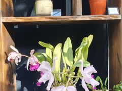 -国家植物园南园