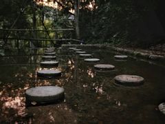 -韶关经律论国际酒店温泉