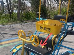 -盐城丹顶鹤湿地生态旅游区