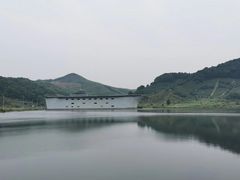 -黄贤森林公园