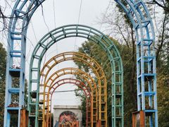 -金山农民画村-枫泾波兰倒置屋