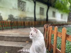 -西园寺