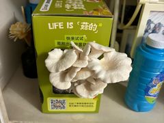 -芸山季·云南山珍菌火锅(人民广场来福士店)