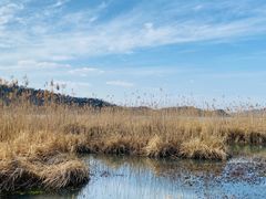 -东钱湖旅游度假区