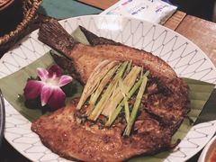 -紫滇源云南生态菜(丹凤街店)