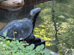 -东方华地城湿地温泉度假区