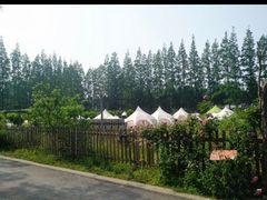 -前小桔亲子创意农场·草莓采摘·露营烧烤