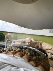 -雷氏普爱产后修护中心(弘阳店)