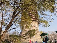 -玲珑塔公园