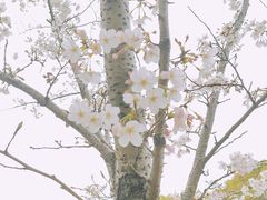 -无锡梅园公园