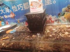-亚马逊海鲜自助(梅溪湖步步高店)