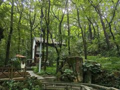 -句容茅山景区