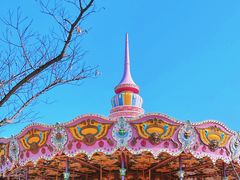 -朝阳公园游乐园