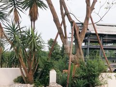 -悦哉·派对·草坪婚礼·围炉煮茶(三圣乡店)