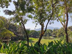 -四季酒店下午茶