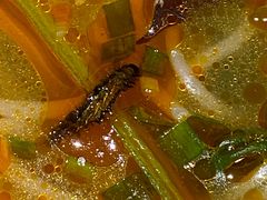 -水平有限广西米粉·广西风味集(五道口店)