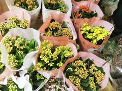 -三旗百汇商品城