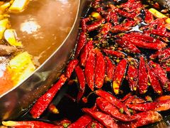 -重庆老火锅(长虹店)